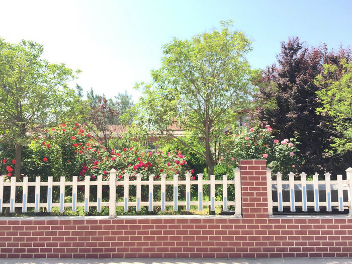 廠(chǎng)區(qū)廠(chǎng)貌