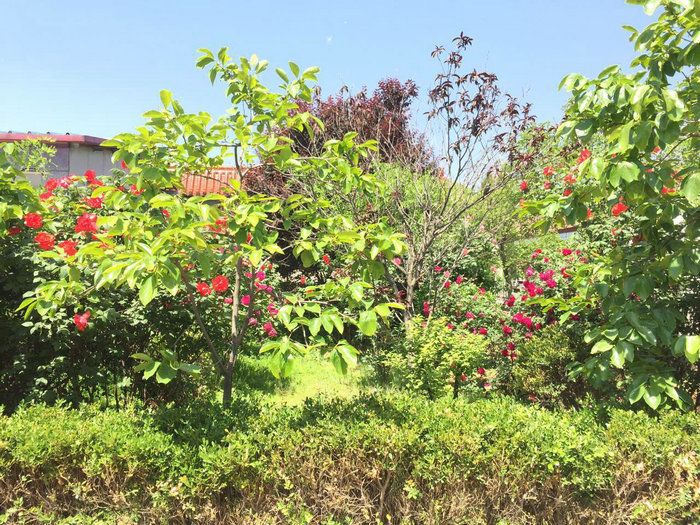 廠(chǎng)區(qū)廠(chǎng)貌